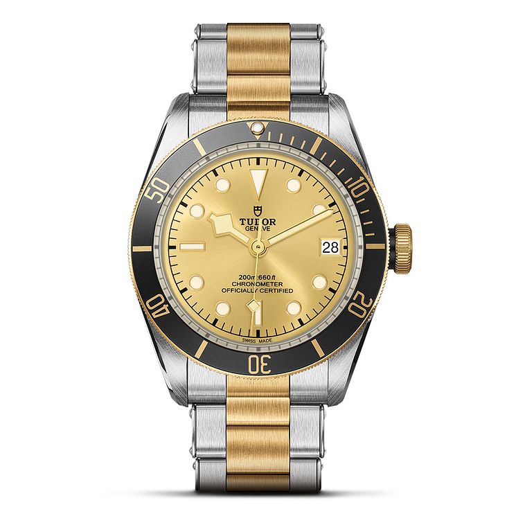 Tudor Black Bay S&g Watch