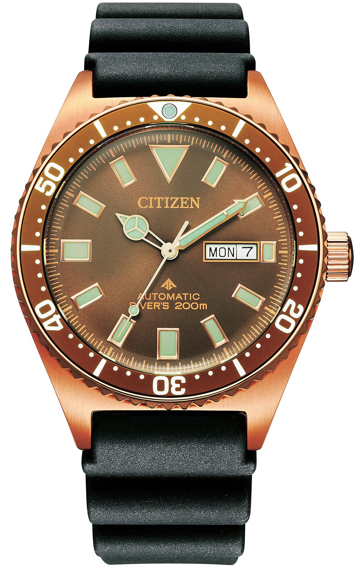 Citizen Promaster Dive Automatic Mens