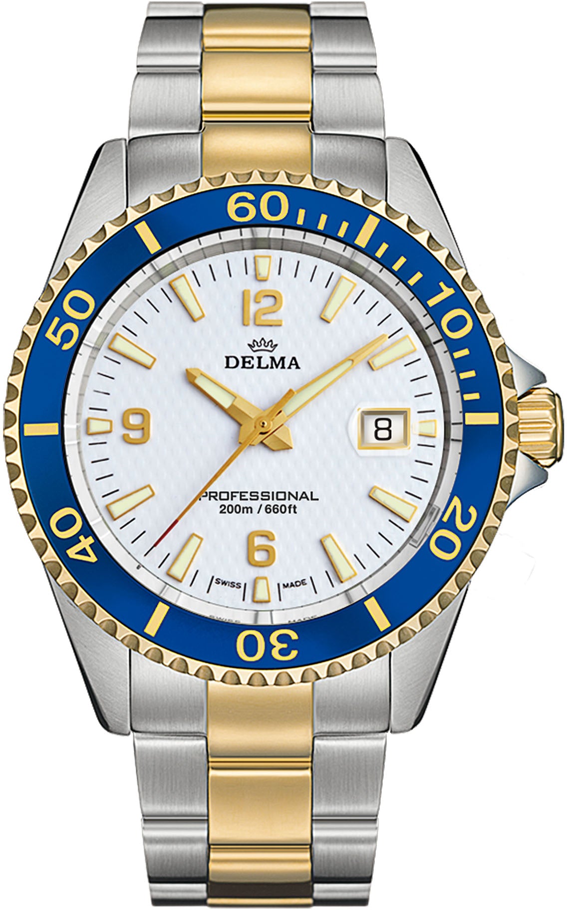 Delma Watch Santiago Quartz Two Tone